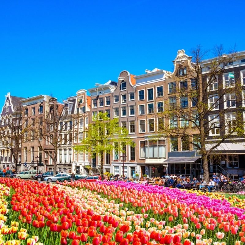 Best Places To Visit In Amsterdam Netherlands Zen Tripstar Amsterdam Vacation Travel Guide Amsterdam attractions Amsterdam travel g